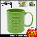 ѡ볫šƥ塼 STUSSY ޥå SS Cracked(stussy mug ޥ å 󥺡 138608 USAǥ   ȥ 塼 ʪ) ice filed icefield