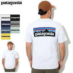 <strong>パタゴニア</strong> Patagonia Tシャツ 半袖 メンズ P-6 ロゴ レスポンシビリティー ( Patagonia P-6 Logo Responsibili S/S Tee ティーシャツ T-SHIRTS カットソー トップス アウトドア USAモデル 38504 )[M便 1/1] ice field icefield