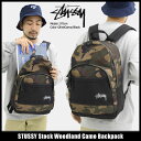 ステューシー STUSSY リュック Stock Woodland Camo(stussy backpack バックパック Daypack デイパック Bag バッグ 普段使い 通勤 通学 旅行 メンズ レディース ユニセックス 男女兼用 133018 ストゥーシー スチューシー 小物) ice filed icefield