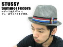 50%OFFSTUSSY(ƥ塼) Summer Fedor...