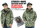 STUSSY(ステューシー)×BAPE Survival Snow JKT 30周年記念 コラボ