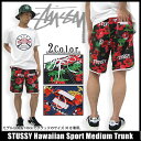 ƥ塼 STUSSY Hawaiian Sport Medium ȥ(stussy trunk 硼ȥѥ ϡեѥ  ० ѥ 硼 ܥȥॹ   113033) ice filed icefield