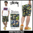 ステューシー STUSSY Paradise ショーツ(stussy short pant ショートパンツ ハーフパンツ 水着 スイムウェア 海パン ショーツ ボトムス メンズ・男性用 112135 スチューシー) ice filed icefieldSTUSSY Paradise Short