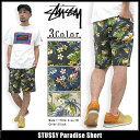 ステューシー STUSSY Paradise ショーツ(stussy short pant ショートパンツ ハーフパンツ 水着 スイムウェア 海パン ショーツ ボトムス メンズ・男性用 112135 スチューシー) ice filed icefieldSTUSSY Paradise Short