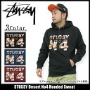 ステューシー STUSSY Desert No4 プルオーバー パーカー(stussy hooded sweat フード フーディ メンズ トップス Pull Over Hoody Parker 男性用 1922880) ice filed icefieldSTUSSY Desert No4 Hooded Sweat