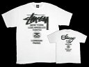 ステューシー STUSSY World Tour Blur Tシャツ 半袖(stussy tee ティーシャツ メンズ 男性用 1902541)STUSSY World Tour Blur S/S Tee