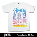 ステューシー STUSSY Peace Poster Tシャツ 半袖(stussy tee ティーシャツ メンズ 男性用 1902588)STUSSY Peace Poster S/S Tee