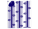 [haru wall stickerin EH[ XebJ[)]@X[TCY@Scale fish