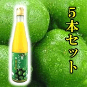 【送料無料】【5本セット】山原シークヮーサー500ml　山原シークワーサー 山原シークァーサー 【日本の島_名産品】【日本の島_送料無料】【2sp_120810_green】