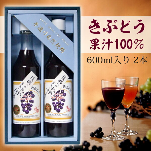 【送料無料】きぶどうジュース600ml 2本セット 【代引不可】