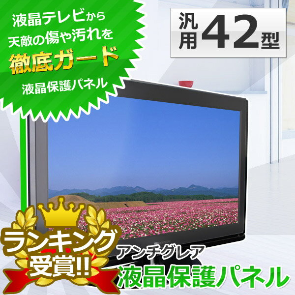 液晶テレビ保護パネル SunRuck(サンルック) 液晶保護パネル 42インチ用 42型 42V型 アンチグレア ITG-42AG