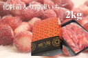 【送料無料】熊本産 冷凍ブランドイチゴ2kg 国産 品種選べません いちごジャム/いちごミルク/シャーベット/スムージー/かき氷/いちごソース/ブランドいちご/フルーツ/家庭用/冷凍フルーツ/ヨーグルト/アイス/トッピング/離乳食/お菓子作り/父の日/お中元/化粧箱/贈答用