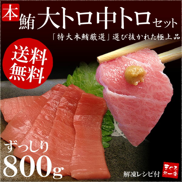 送料無料！極上本マグロ「大トロ・中トロ」メガ盛り800g！なんと6〜7人前も！最安値に挑戦！解凍レシピ付【本まぐろ】【お中元、敬老の日】【2sp_120810_green】[[大中400-2p]