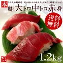 本まぐろ「大トロ・中トロ・赤身！」ずっしり1.2kg！！全部揃った極上本マグロセット♪解凍レシピ付【あす楽対応】【マグロ、鮪】【ギフト】【楽ギフ_のし宛書】【楽ギフ_メッセ入力】【お歳暮、おせち】【2P13oct13_b】【RCP】[[大中赤セット-2p]