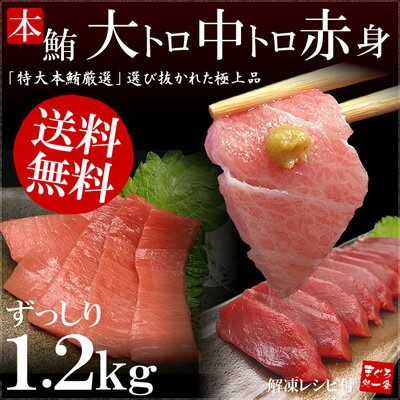 本まぐろ「大トロ・中トロ・赤身！」ずっしり1.2kg！！全部揃った極上本マグロセット♪解凍レシピ付【マグロ、鮪】【お中元、敬老の日】【2sp_120810_green】[[大中赤600-2p]