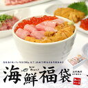 年内お届けまだ間に合う！【送料無料】絶品6品入り海鮮福袋！本マグロ大トロ、目鉢まぐろ中トロ、ウニ、イクラ、ネギトロ、づけ！海鮮丼や手巻き寿司に【大間のマグロが当たる】【グ