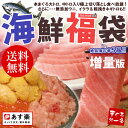 【送料無料】海鮮福袋2倍増量版！大トロ、中トロ＆赤身切り落とし、ウニ、イクラ、ネギトロ！絶品グルメがてんこ盛り♪マグロ食べ比べやウニ・イクラ丼も！【ギフト】【53％OFF】【2sp_120810_green】[[海鮮福袋A-2p]