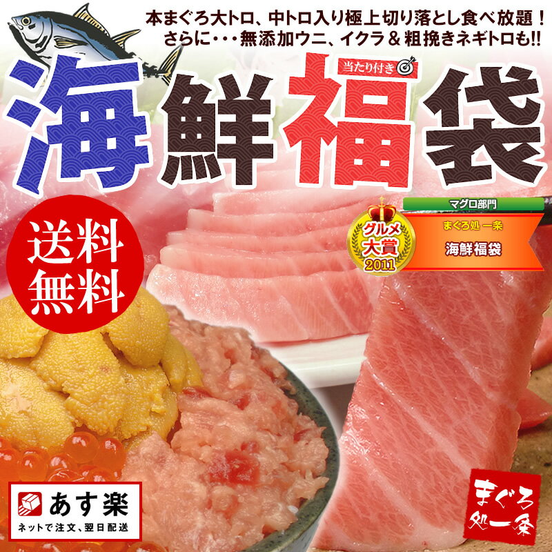 本マグロ大トロ入り海鮮福袋！中トロ切り落とし、ウニ、イクラ、ネギトロ！絶品海産物5品♪海鮮丼や手巻き寿司に12sp[[海鮮福袋A]2013年1月8日以降のお届け