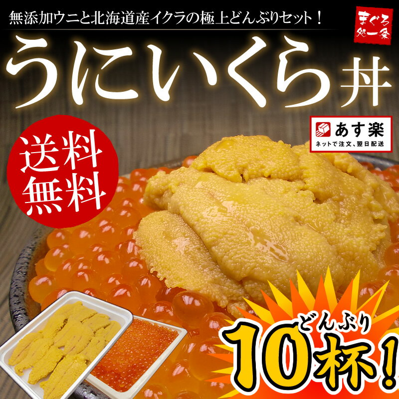 【送料無料】無添加うに＆イクラ丼10杯分！無添加お刺身ウニと特選イクラ醤油漬けの絶品海鮮丼セット！【ウニ、いくら】【お試し】【お中元】【マラソン1207P05】【RCPmara1207】[[UI-5p]