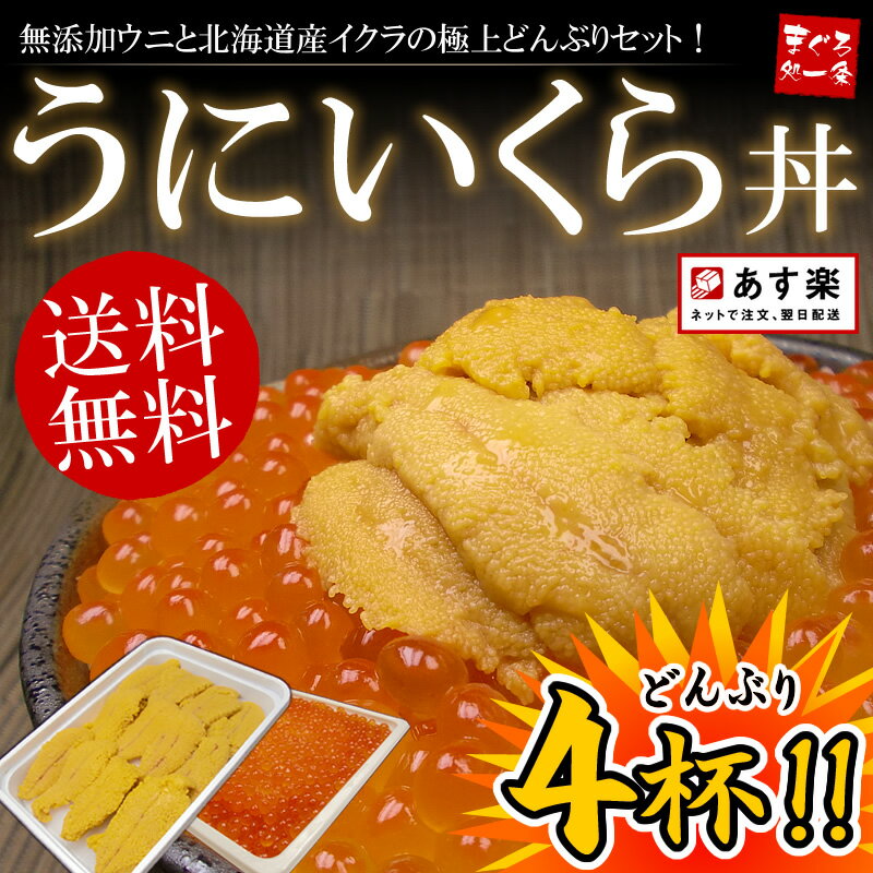 【送料無料】無添加うに＆イクラ丼4杯分！無添加お刺身ウニと特選イクラ醤油漬けの絶品海鮮丼セット！【うに、いくら】【お試し】【お中元】【マラソン1207P05】【RCPmara1207】[[UI-2p]