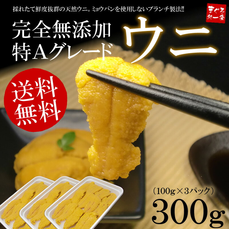 【送料無料】「安心の無添加」お刺身ウニたっぷり300g！とろける食感がたまらない♪うに丼約4杯分！【激安】【50％OFF】【鮪】【マラソン201207_食品】【マラソン1207P05】【RCPmara1207】[[生ウニ-3p]