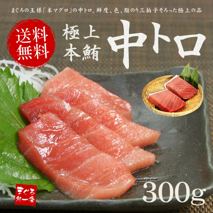 父の日ギフトに【送料無料】本マグロ極上中トロ300g！脂の甘みと濃厚赤身が絶妙なバランス！…...:ichijyo:10000386