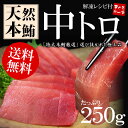 【送料無料】天然本マグロ中トロたっぷり250~300g！まぐろの王様の濃厚赤身と脂の甘みが絶妙なバランス！赤白見事なグラデーション【まぐろ、鮪】【通販、ギフト】【2sp_120810_green】[[中トロ250~]