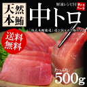 【送料無料】天然本まぐろ「極上中トロ」ずっしり500~600gセット！鮪の王様「本まぐろ」ならではの濃厚赤身、脂の甘み、絶妙なバランスが楽しめる！【マグロ、鮪】【通販、ギフト】【RCPsuper1206】[[中トロ251-2p]