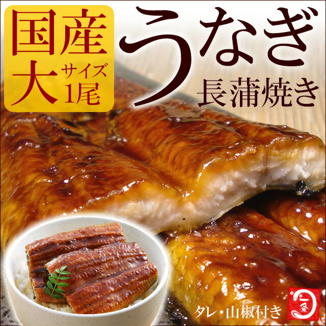 ふっくらやわらか♪三河一色産うなぎ長蒲焼！大サイズ1枚(170g~180g)【土用の丑の日】【ウナギ】【41％OFF】【激安】【お試し】【お中元、敬老の日】【2sp_120810_green】[[ウナギ-1p]