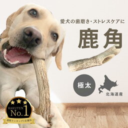 犬のおもちゃ 鹿の角 ★ 北海道産 ★ 344週 ランキング1位 愛玩動物飼養管理士店長 デンタルケア <strong>大型犬</strong>〜中型犬用 送料無料 しつけ/いたずら/甘噛み防止に！犬の玩具 蝦夷鹿 口臭対策 エゾシカ鹿角 SDGs まるごと