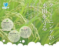 米スターチ(マイスターチ)3800ml100%国産米粉の洗濯のり