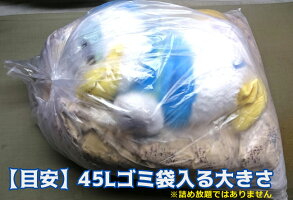 ぬいぐるみクリーニング【大】(75cm×80cm以内45Lゴミ袋に入る大きさ)