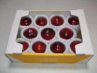 あのプラム「太陽」がこの価格生産・販売だからできます予約商品です発送は8月下旬からです 開店セール0907当店通常価格の約10%OFFご贈答にいかが プラム「太陽」