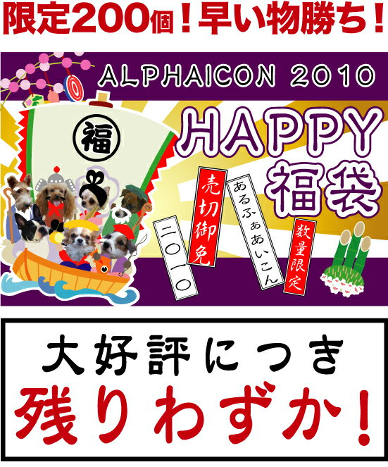 ★★【数量限定】★★たっぷり7アイテム!!通常価格4万円分以上!!2010年 ALPHAICON福袋【送料無料】