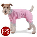 楽天スーパーセール ワンコ用品 犬とキャンプ
