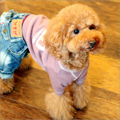 【アウトレットSALE】ALPHAICON 直営店 【小型犬/S】 ALPHAICON JEANS クラシックトレーナー 10th ANNIVERSARY ==【アウトレットSALE】