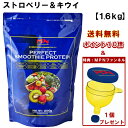 パーフェクト・スムージー・プロテイン「ストロベリー&キウイ」【1.6kg】(PERFECT SMOOTHIE PROTEIN)≪あす楽対応≫