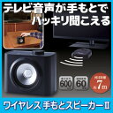 【ポイント10倍】【送料無料】 テレビ音...