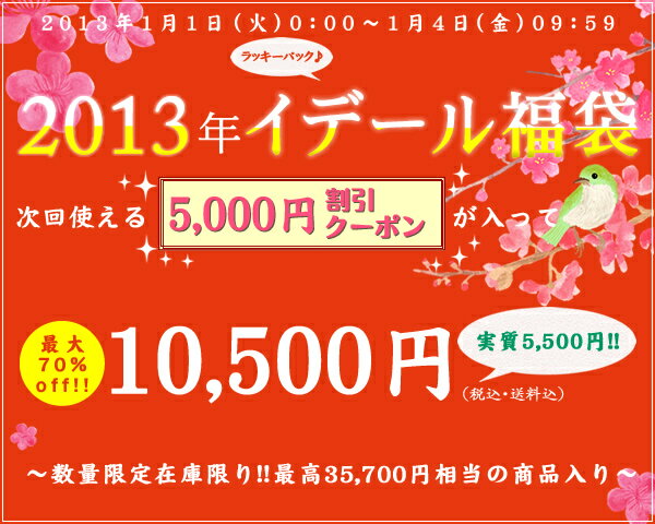 2013年イデール福袋★ラッキーパック最高35,700円相当の商品入り！