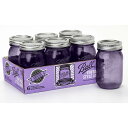ボール メイソンジャー レギュラーマウス 保存容器 ガラス 16oz 480ml パープル Ball Mason Jar Vintage Style 限定版 6個セット Made In USA おうち時間 ステイホーム