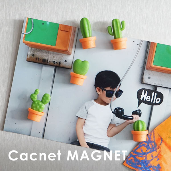 y[֑z cacnet T{e}Olbg T{e }Olbg JNlbg  [ 킢  A G QUALY NI[ y