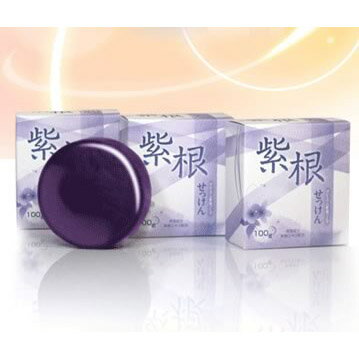 ̵3ĥåȡۡ 纬иʥץߥ纬ס 100g Ф