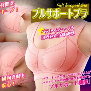 �y2�Z�b�g���������I�i���ꏜ���j�z�@�v���T�|�[�g�u��