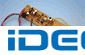 DP29065 FMCX}CNLbg gT|[gt [2T