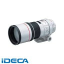 KW41197 EF300mm F4L IS USM