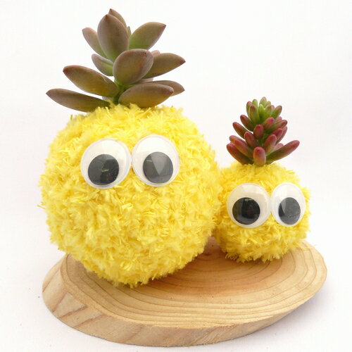 ƥꥢˤǤϤݶ̥˥ޥĥ꡼ϡݶ̡⥹ӡʥˡ֥