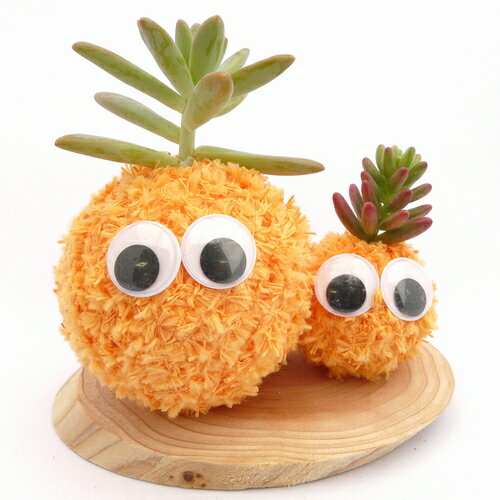 ƥꥢˤǤϤݶ̥˥ޥĥ꡼ϡݶ̡⥹ӡʥ󥸡ˡ֥