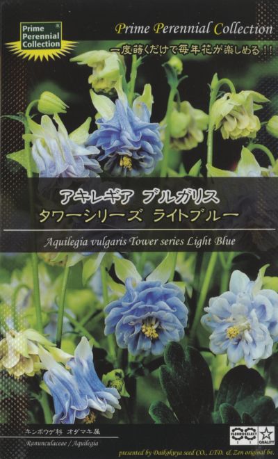 （宿根草）　アキレギア　ブルガリスタワーシリーズ　ライトブルー[二年草 種 宿根草 多年草 種子]宿根草・二年草・多年草・種・種子の井手商会。一度蒔くだけで毎年花が楽しめる！！