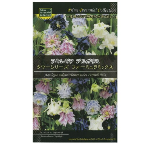 （宿根草）　アキレギア　ブルガリスタワーシリーズ　フォーミュラミックス[二年草 多年草 宿根草 種子 種]