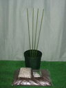 ブルーベリー簡単鉢植え栽培キット 7号鉢用6点セット...